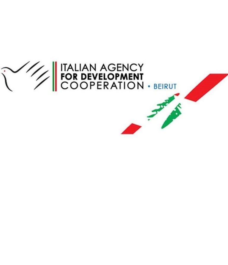 Go to the page https://beirut.aics.gov.it/